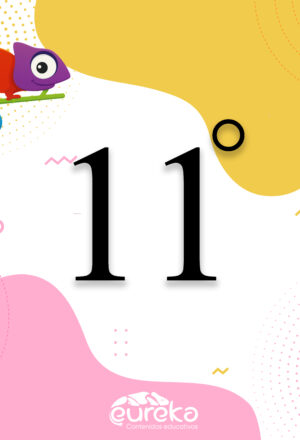 Colegio De Los Andes 11°