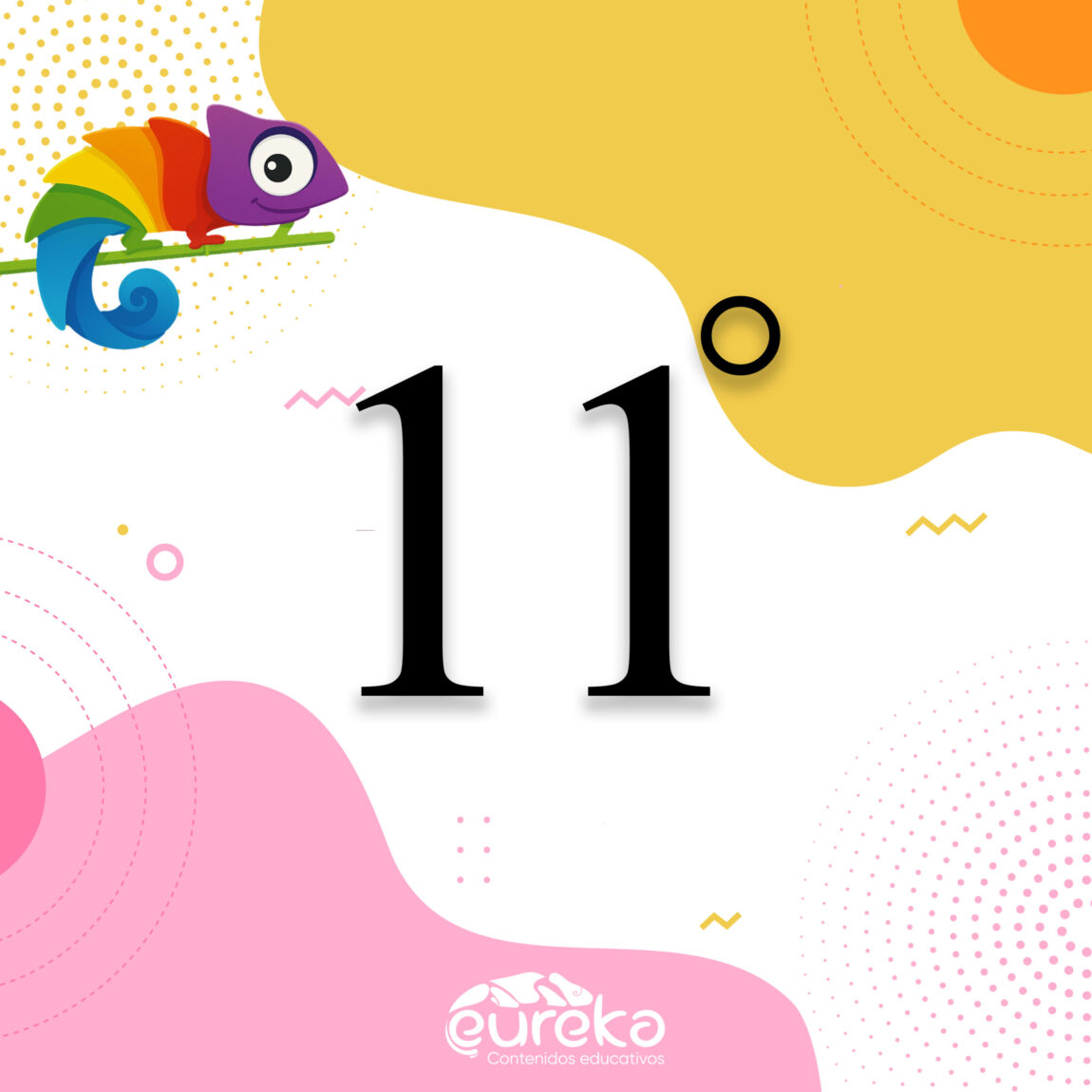 11-scaled.jpg