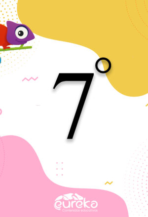 Liceo Nuestra Señora de Torcoroma - 7°