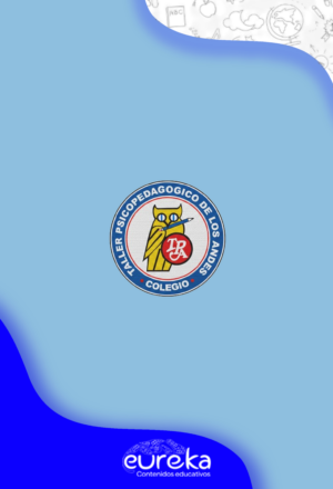 Taller Psicopedagogico De Los Andes -Tapsandes